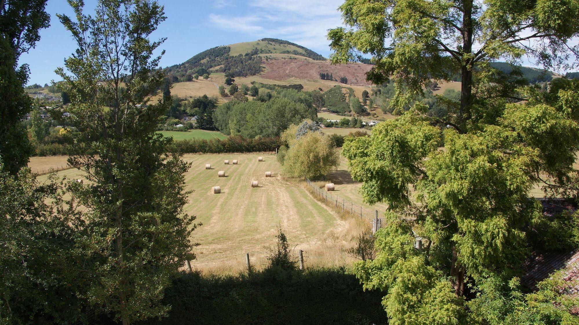 The Birches Bed & Breakfast Bed & Breakfast Mosgiel Exterior photo